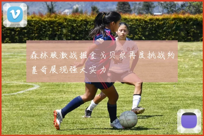 森林狼激战掘金戈贝尔再度挑战约基奇展现强大实力